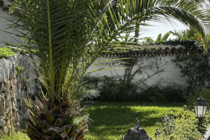 c34263f617177c2f340d36a7abadba4e - 8