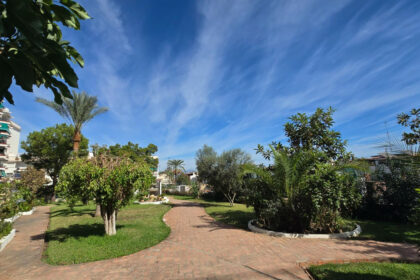 c36558cf8712a0df4bd0859551d89b37 - 26