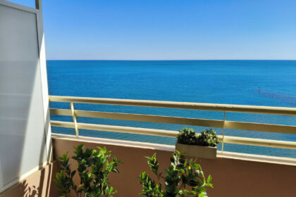 c5bda901f5e02a663df1d1cc9ab474e4 - 17