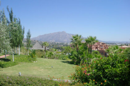 c5e6b8a736f072a337001820259cf5ab - 33