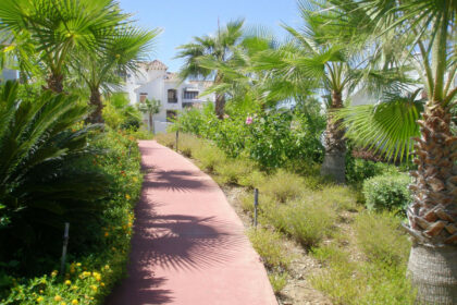 c5e6b8a736f072a337001820259cf5ab - 34