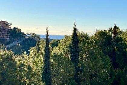 c67f6a57a7b155ce6e258f2e56f8dffc - 17