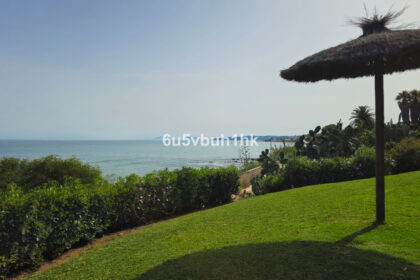 c6b6f125f246534889732be2602609ea - 30