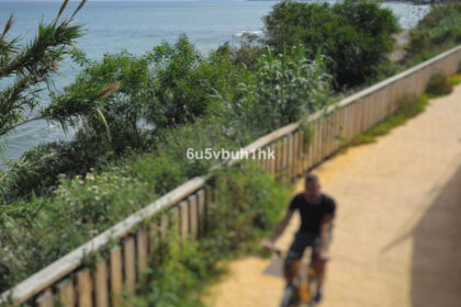 c6b6f125f246534889732be2602609ea - 31