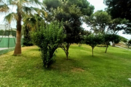 ccd518b5828943f13f83620d084b34b2 - 22