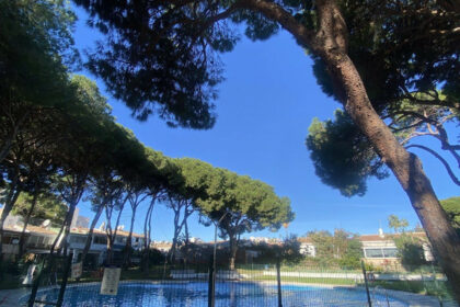 d17cdeae508a6194269c63c55e48e1cf - 26