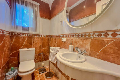 d3c5d6676963c14a6c54f5f4444a65a3 - 32