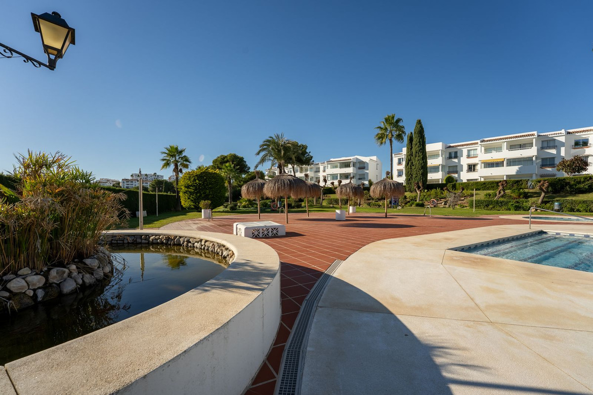 d3cee2e88c9f99965e2ac3a7921d406a - 26