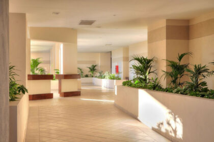 d441bb11fe38f706c304fa2bc80af409 - 18