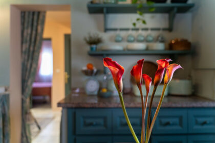 d4b8bac7d3e23c6f4269cab3321ef4c3 - 16