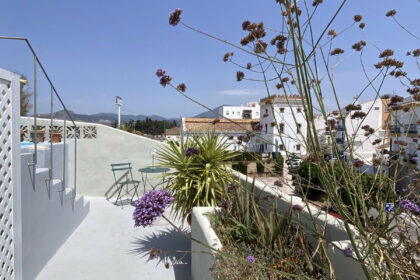 d4b8bac7d3e23c6f4269cab3321ef4c3 - 29