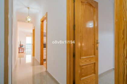 d5a529cd75cd15f46c7b615481f16cb5 - 31