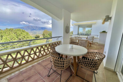 d73a06386399be02d5d3c047c1be96ee - 24