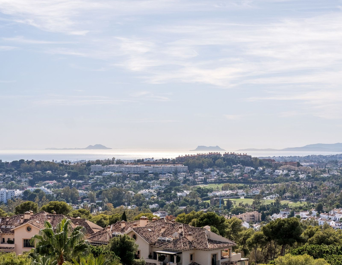 d77f7e9c0f5ae5741dfefd023862cda0 - 5