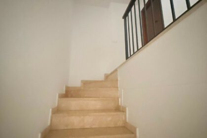 d9e31d49fc83bacff0444d875487964e - 14