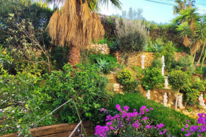 da0a44b696f48bec82589db47a88295b - 19