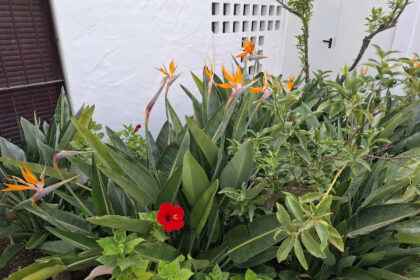 dae5d7c5ba466b6780109805bf2ad028 - 35