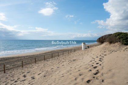 db3b3d6defaffb671bd7d19ad19b9258 - 31