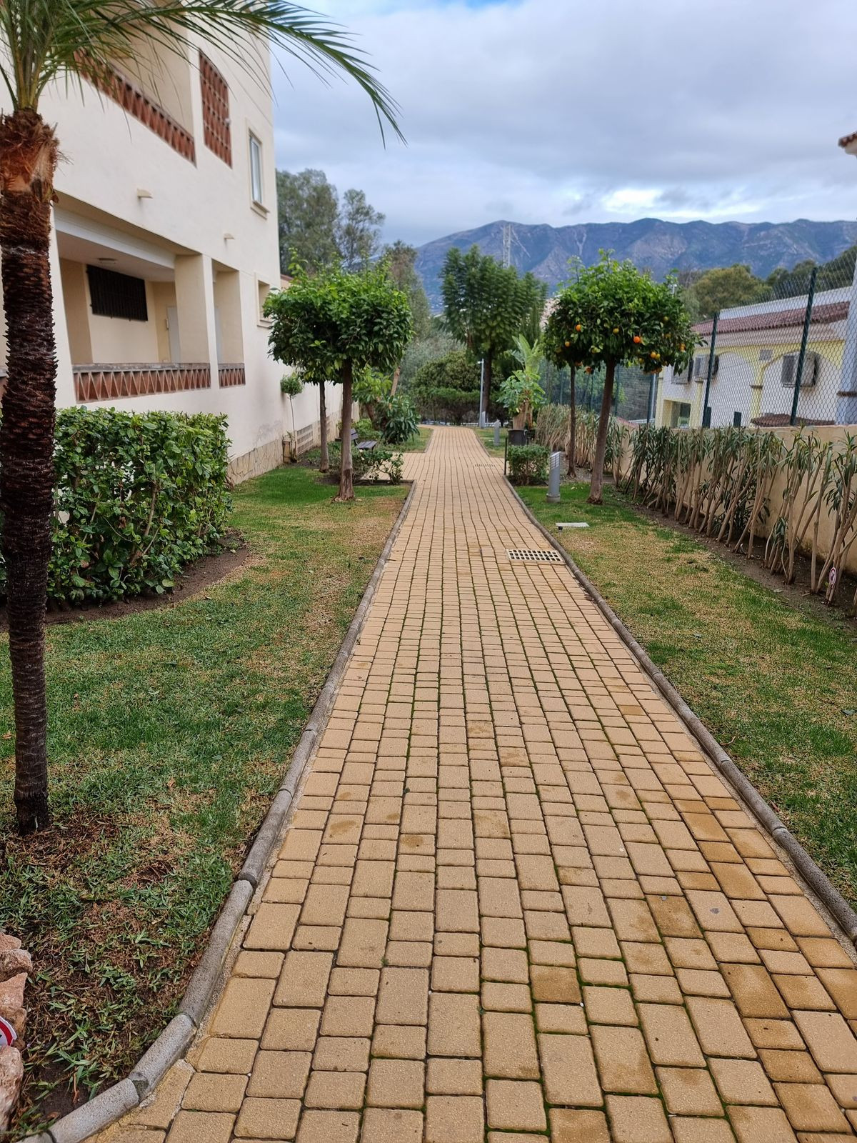 db5c1144bec3943d6a5a685ac38661e9 - 24