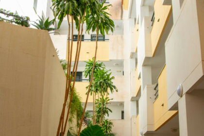 ddd0e00931f591aeb1ee1fdbd6de6efd - 33