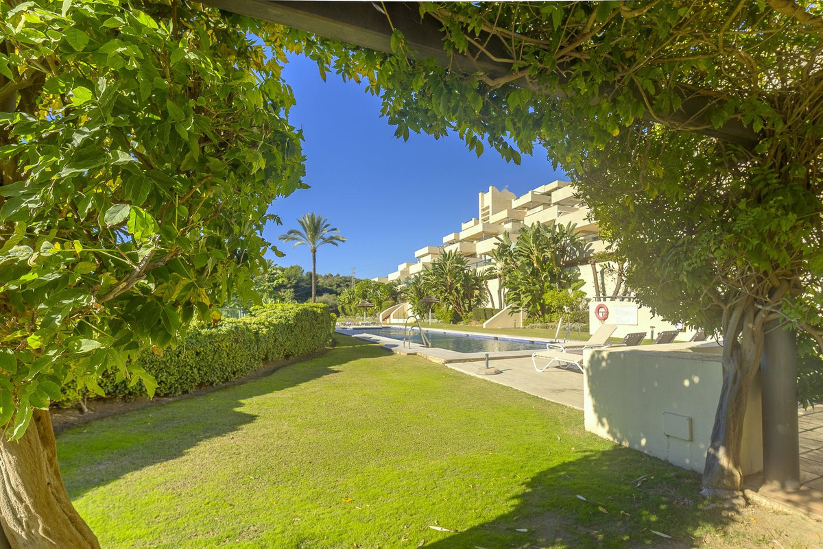 dfe2ba2e0a97fe18961582144068db06 - 16