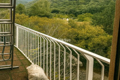 e25007adfe19039e2e43b513ff58614c - 19