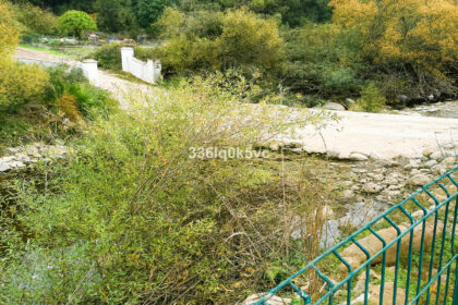 e25007adfe19039e2e43b513ff58614c - 33