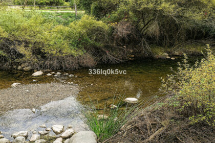 e25007adfe19039e2e43b513ff58614c - 9