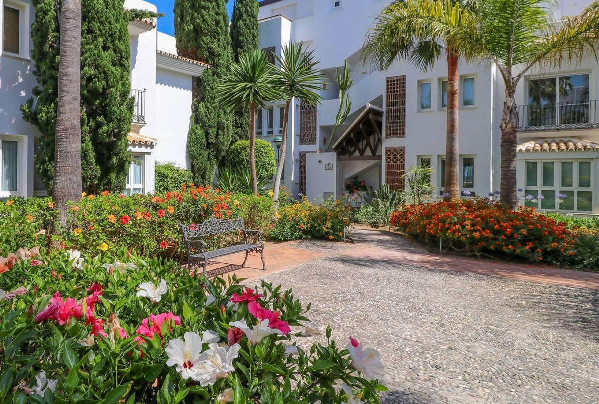 e2a257fb9997b07b4e5837ef0e2e9b5b - 33