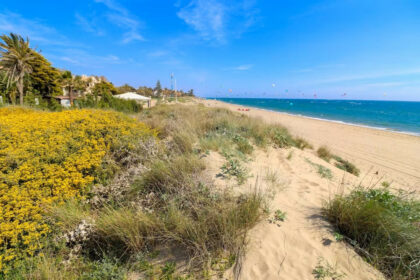 e2a257fb9997b07b4e5837ef0e2e9b5b - 34