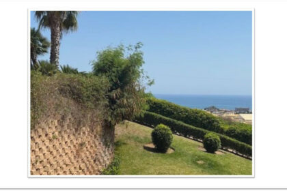 e2d40e8c0660f47b12235e1c6d21c508 - 16