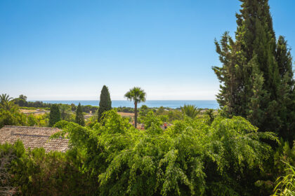 e3451aac2f5e929438c7fea7c5ae5fa6 - 24