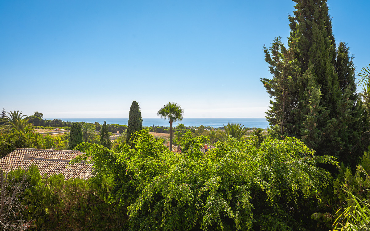 e3451aac2f5e929438c7fea7c5ae5fa6 - 24