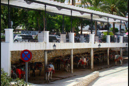 e5440dac43ea16312f4fd3f9efef7007 - 41