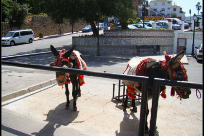 e5440dac43ea16312f4fd3f9efef7007 - 42