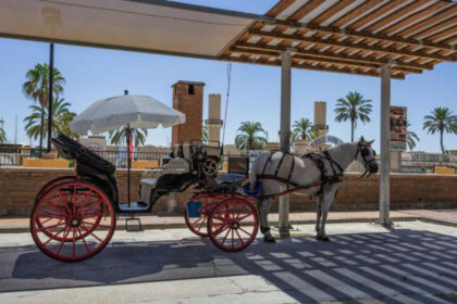 e5440dac43ea16312f4fd3f9efef7007 - 43