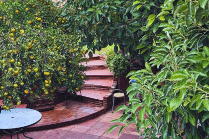 e8aad0cdcd78beae2d5b1ba55b4e4729 - 23