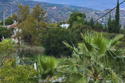 e8aad0cdcd78beae2d5b1ba55b4e4729 - 27