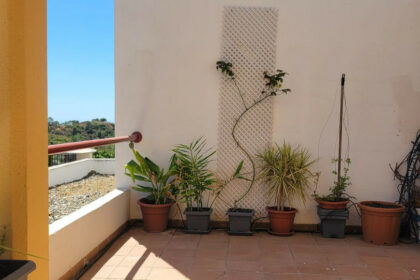 ea2dc75d00c229926332d9cb98912153 - 29