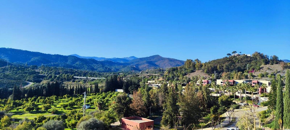 ea2dc75d00c229926332d9cb98912153 - 53