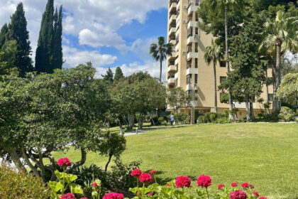 eabc536d19d3746862a119140959821a - 1