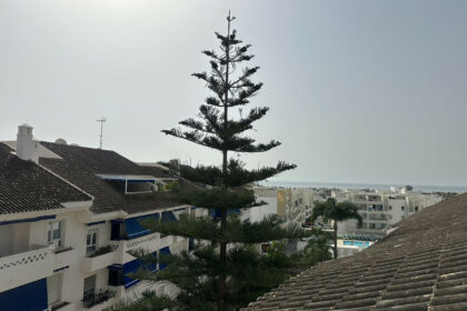 ee376af987ac4720623556c1051082cc - 25