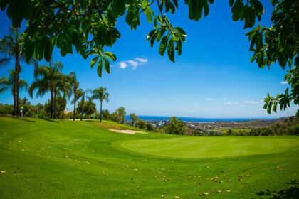 efea0cd284f279cd2f89c0cdc3ee5624 - 17