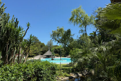 f1f51b4cf16615916cf01590de985d25 - 26