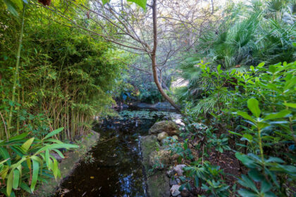 f1f51b4cf16615916cf01590de985d25 - 30