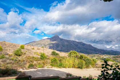 f22f9ed1b1aec655b4c8bca4afdd3239 - 25