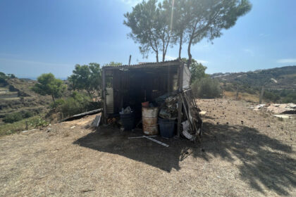 f2c29dc3c1ead13473d4de23e478472b - 12