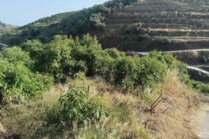 f55ff66bdb5542f433bd65522f094ae9 - 1