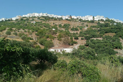 f55ff66bdb5542f433bd65522f094ae9 - 2