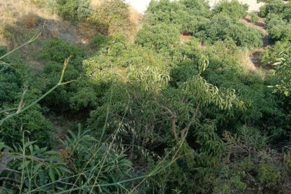 f55ff66bdb5542f433bd65522f094ae9 - 4